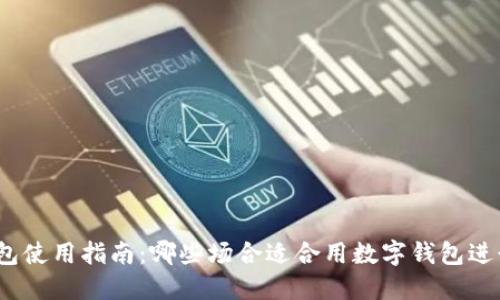 数字钱包使用指南:哪些场合适合用数字钱包进行支付?