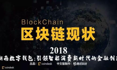 湖南数字钱包:引领智能消费新时代的金融创新