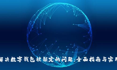 如何解决数字钱包被锁定的问题:全面指南与实用技巧