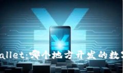 ### TPWallet:哪个地方开发的数字钱包先锋?