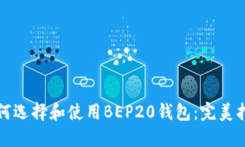 如何选择和使用BEP20钱包:完美指南