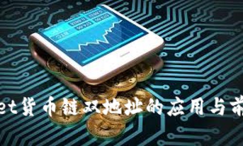 tpwallet货币链双地址的应用与前景分析