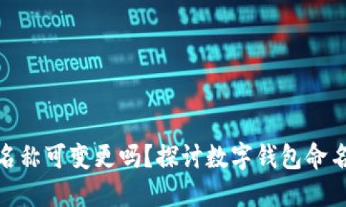 数字钱包名称可变更吗?探讨数字钱包命名的灵活性