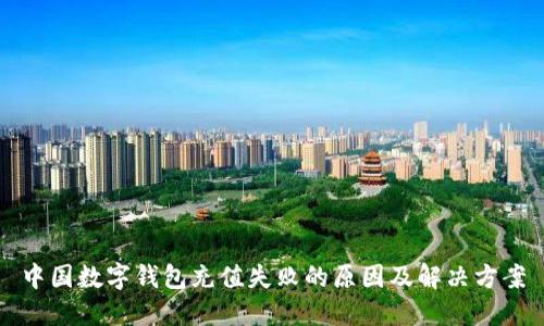 中国数字钱包充值失败的原因及解决方案