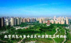 数字钱包内货币丢失的原因及应对措施