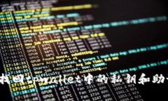 如何找回tpwallet中的私钥和助记词?