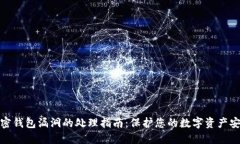 加密钱包漏洞的处理指南:保护您的数字资产安