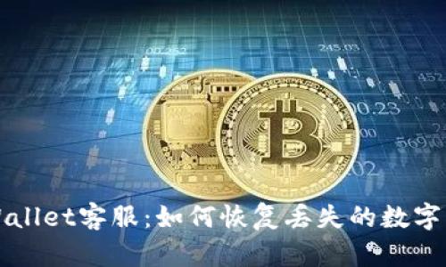 TPWallet客服:如何恢复丢失的数字资产