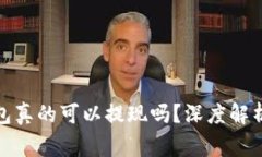 : 区块链钱包真的可以提现吗?深度解析与常见误