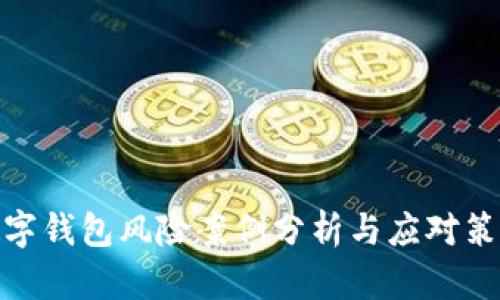 数字钱包风险案例分析与应对策略