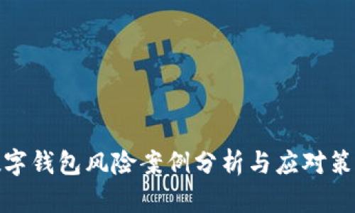 数字钱包风险案例分析与应对策略