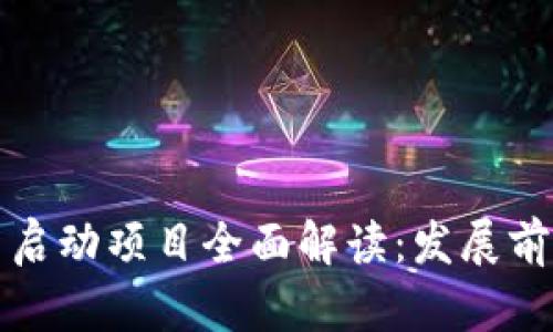 区块链钱包新启动项目全面解读：发展前景与市场影响
