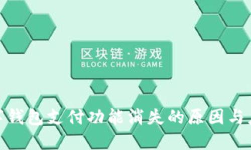 微信数字钱包支付功能消失的原因与应对策略
