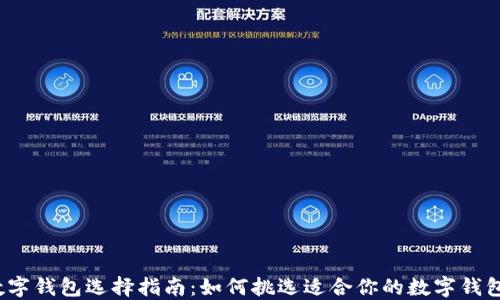数字钱包选择指南:如何挑选适合你的数字钱包?