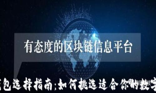 数字钱包选择指南:如何挑选适合你的数字钱包?