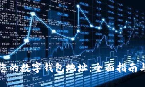 如何找回您的数字钱包地址:全面指南与解决方案