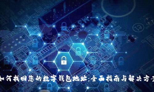 如何找回您的数字钱包地址:全面指南与解决方案