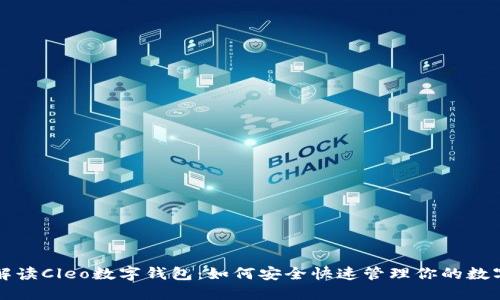 全面解读Cleo数字钱包:如何安全快速管理你的数字资产
