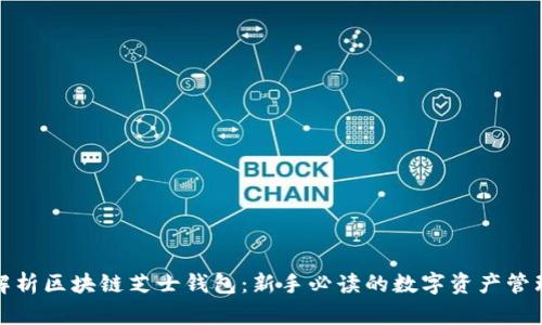 全面解析区块链芝士钱包:新手必读的数字资产管理工具