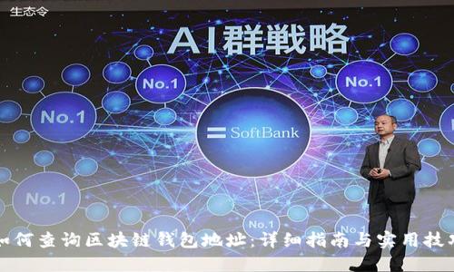 如何查询区块链钱包地址:详细指南与实用技巧