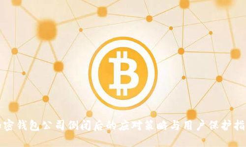 加密钱包公司倒闭后的应对策略与用户保护指南