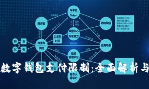 如何解开数字钱包支付限制:全面解析与实用指南