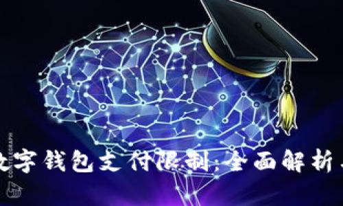 如何解开数字钱包支付限制:全面解析与实用指南