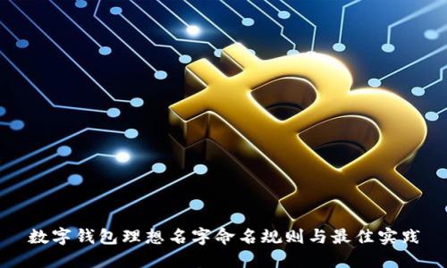 数字钱包理想名字命名规则与最佳实践
