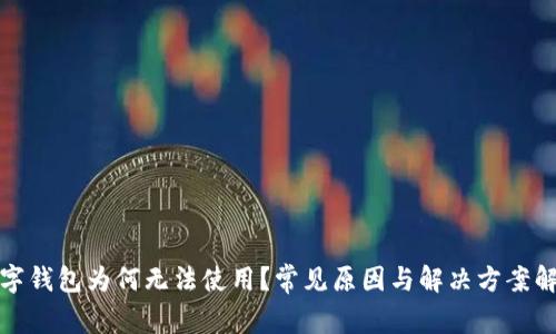 数字钱包为何无法使用?常见原因与解决方案解析