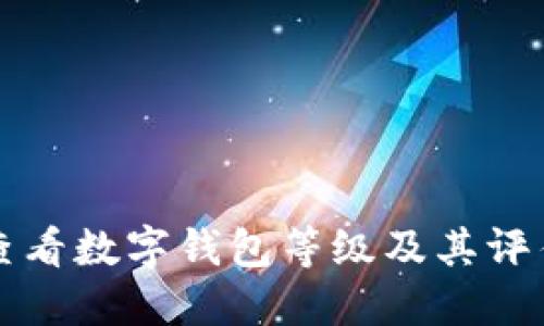 如何查看数字钱包等级及其评估标准