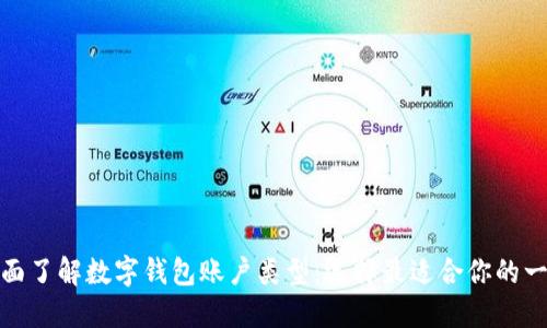 全面了解数字钱包账户类型：选择最适合你的一款