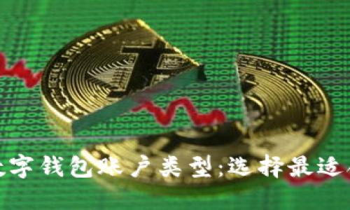 全面了解数字钱包账户类型：选择最适合你的一款