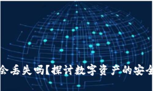数字钱包会丢失吗?探讨数字资产的安全性与管理