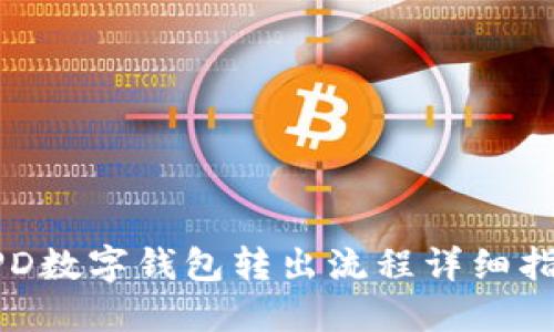 APD数字钱包转出流程详细指南