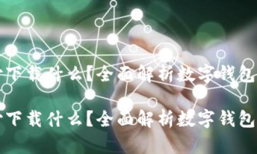 数字钱包支付下载什么?全面解析数字钱包的选择与使用
数字钱包支付下载什么?全面解析数字钱包的选择与使用