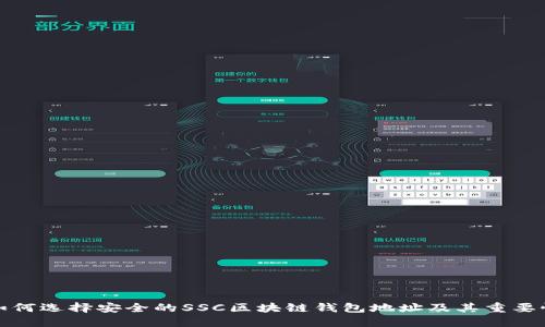 如何选择安全的SSC区块链钱包地址及其重要性