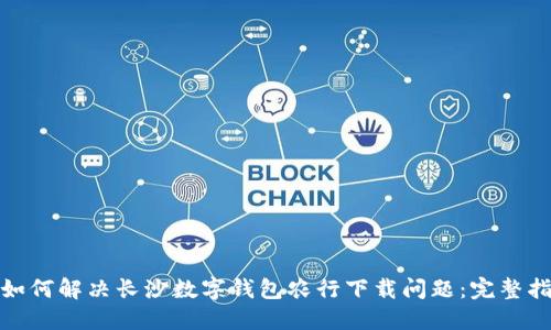 : 如何解决长沙数字钱包农行下载问题:完整指南