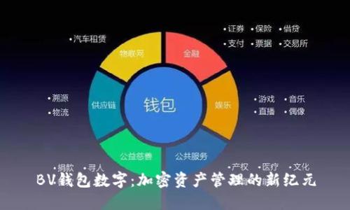 BV钱包数字:加密资产管理的新纪元