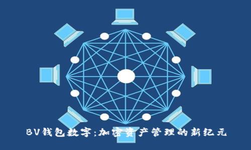 BV钱包数字:加密资产管理的新纪元