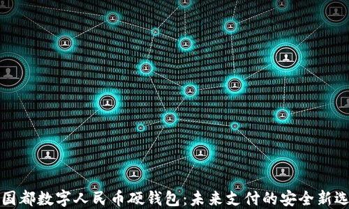 新国都数字人民币硬钱包:未来支付的安全新选择