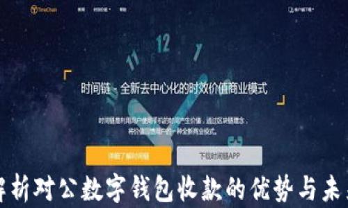 全面解析对公数字钱包收款的优势与未来发展