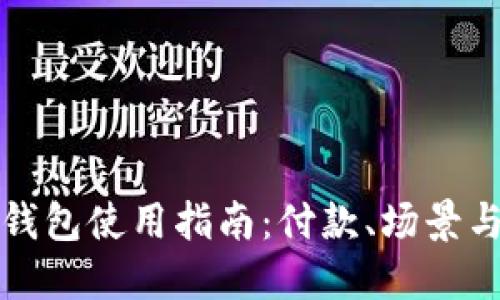 北京数字钱包使用指南:付款、场景与未来发展