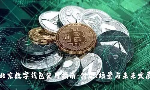 北京数字钱包使用指南:付款、场景与未来发展