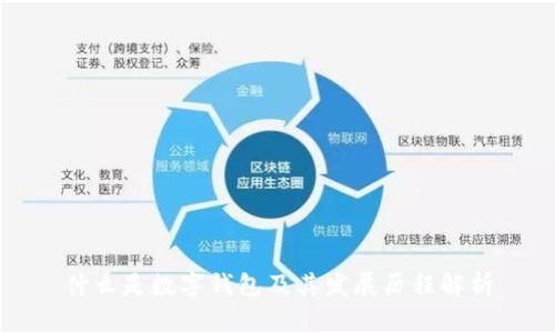 什么是数字钱包及其发展历程解析