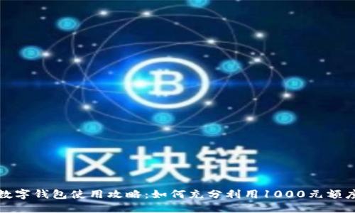 数字钱包使用攻略:如何充分利用1000元额度