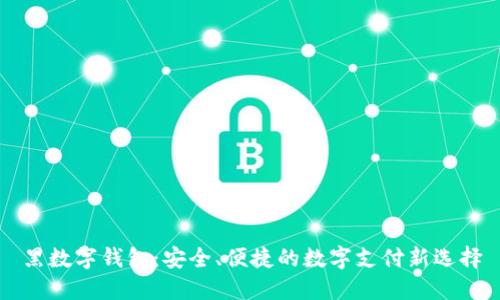 黑数字钱包:安全、便捷的数字支付新选择