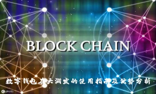 数字钱包在大润发的使用指南及优势分析