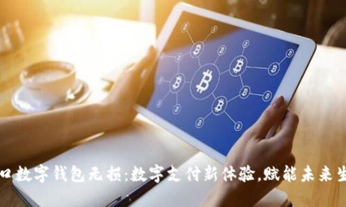 海口数字钱包无损:数字支付新体验,赋能未来生活