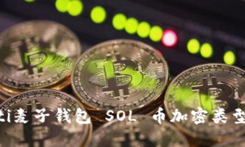 ziaoti麦子钱包 SOL 币加密类型详解