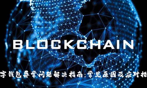 数字钱包异常问题解决指南:常见原因及应对措施